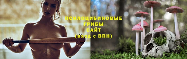 гидропоника Михайлов