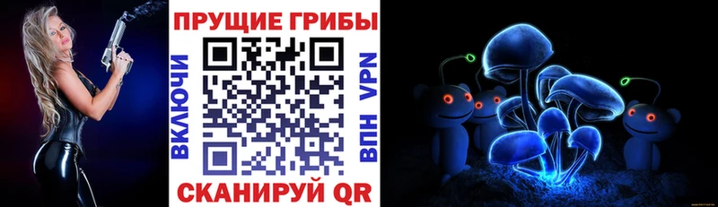 Псилоцибиновые грибы Cubensis  закладка  Игра 